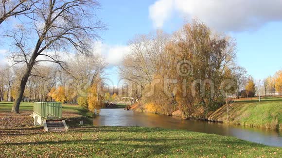 美丽的秋天公园和河流视频的预览图