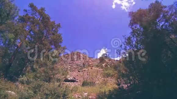 夏季4KUHD山区时间云绿树和阳光运动视频的预览图