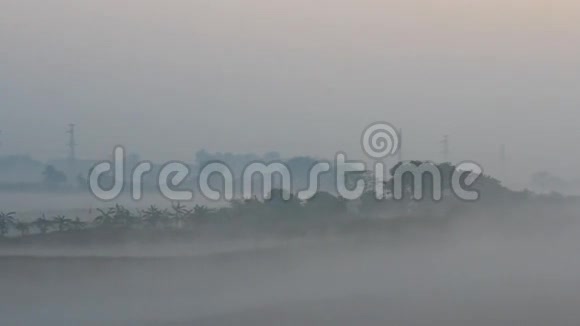雾中的田野视频的预览图