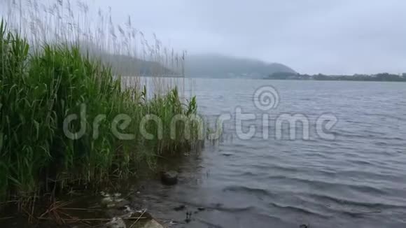 日本富士山的川崎湖著名的富士山视频的预览图