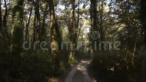 日落时分洛梅利纳乡村土路视频的预览图