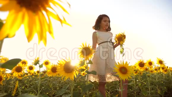 快乐的小女孩在夏天向日葵的阳光下美丽的日落小女孩向日葵的生活方式视频的预览图