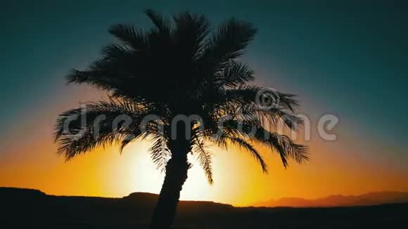 日落背景下的热带棕榈树剪影和山脉的轮廓视频的预览图