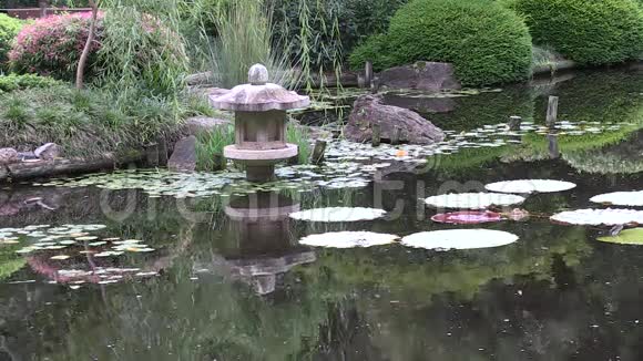澳大利亚一个风景优美的日本花园视频的预览图