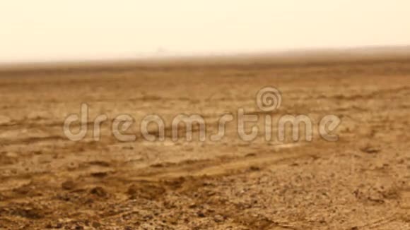沙漠中的幻影视频的预览图