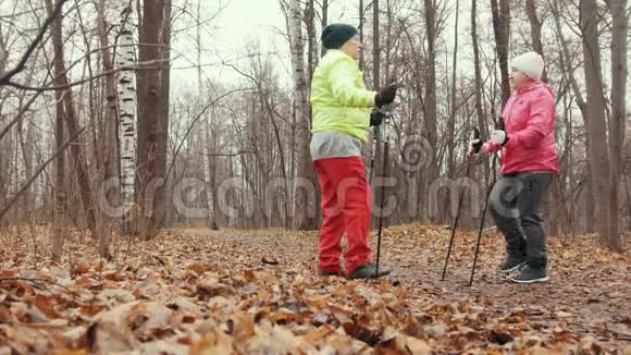 秋天公园的两位老妇人接受了训练北欧步行视频的预览图