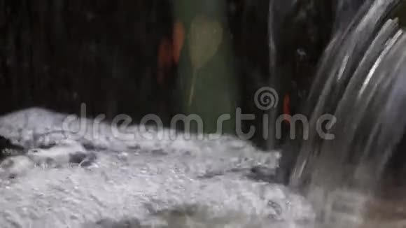 溪的清水清水视频的预览图