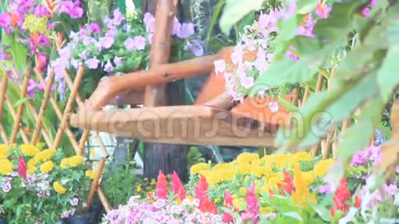 木秋千在花圃高清vdo视频的预览图