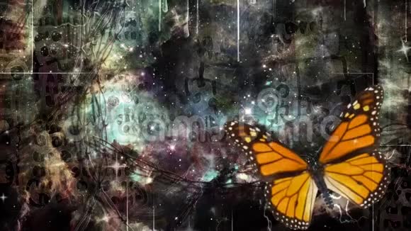 在超现实背景下的蝴蝶视频的预览图