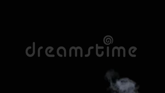 现实的干烟雾视频的预览图