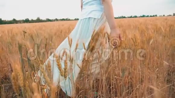 加上大小时尚模特在慢动作视频行走在田间小麦大自然中的肥婆草花视频的预览图