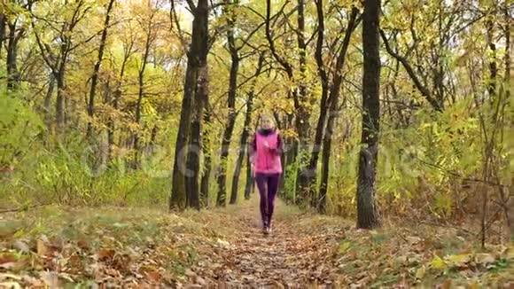 慢速跑步女子跑步者在秋天的森林小径上慢跑适合女性运动健身模式运动员跑步训练视频的预览图