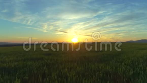 绿色的农田和蓝色的晚霞视频的预览图