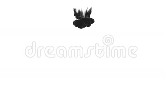 黑色墨水在白色背狗在水中缓慢移动与阿尔法面具过渡时期的油墨或烟雾流动视频的预览图