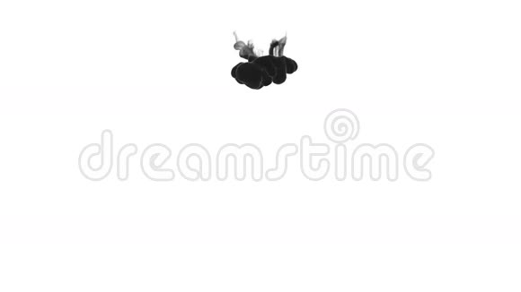 黑色墨水在白色背狗在水中缓慢移动与阿尔法面具过渡时期的油墨或烟雾流动视频的预览图