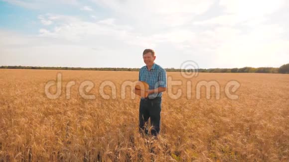 老农夫面包师把生活方式一个金色的面包和面包在麦田对抗蓝天慢速视频视频的预览图