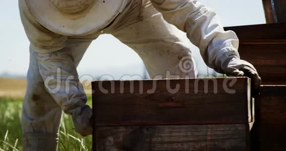 养蜂人从蜂巢中取出蜂蜜架视频的预览图
