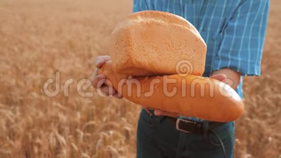 老农夫面包师拿着一个金色的面包和面包在麦田对抗蓝天慢动作视频成功成功成功视频的预览图