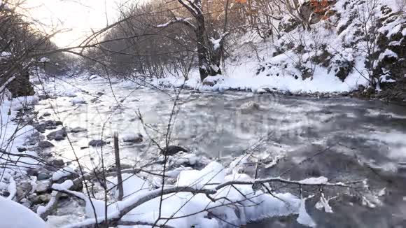 雪林中的河流视频的预览图