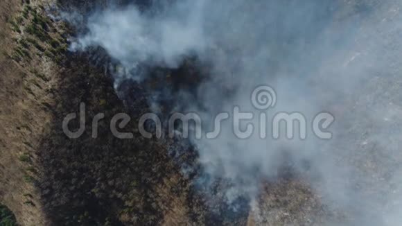 一个垂直的空中镜头显示树林里浓烟滚滚视频的预览图