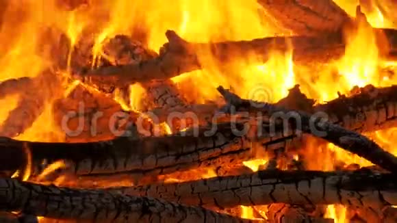 大篝火在夜间燃烧视频的预览图