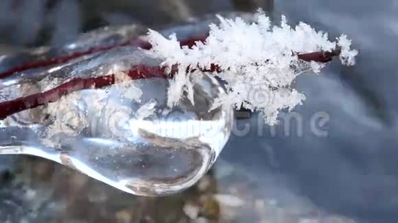 雪林中的河流视频的预览图