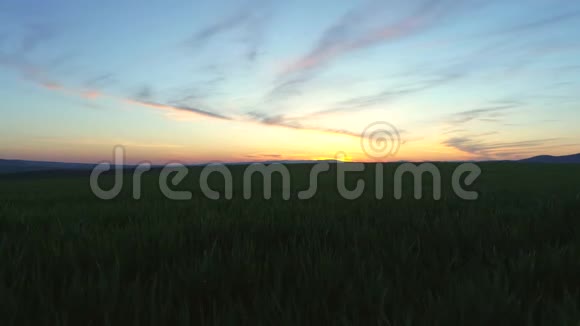 绿色的农田和蓝色的晚霞视频的预览图