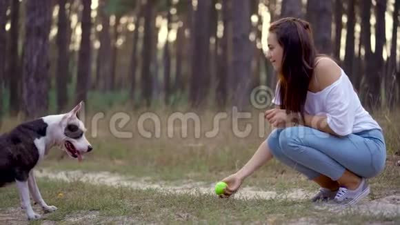 日落时分女孩和她的狗在森林里玩耍视频的预览图