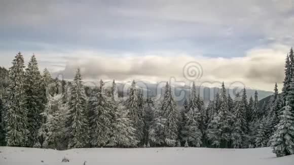 多云天空的冬林视频的预览图