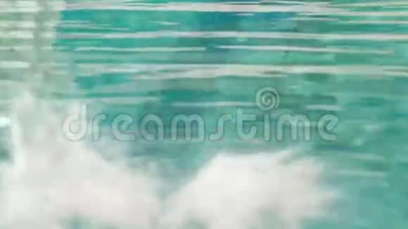 适合游泳的人在游泳池里做后泳视频的预览图