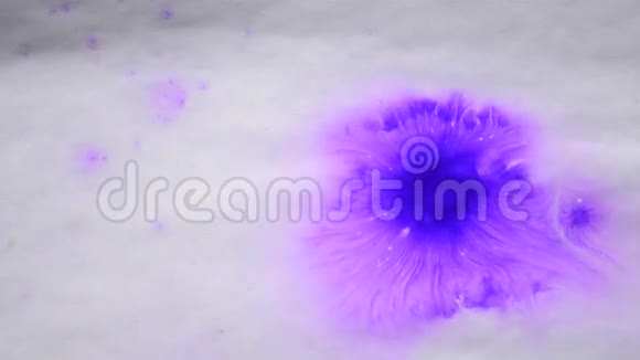 美丽的蔓延紫色墨水滴白色湿视频的预览图