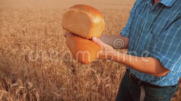 老农夫面包师拿着一个金色的面包和面包在麦田对抗蓝天慢视频生活方式视频的预览图