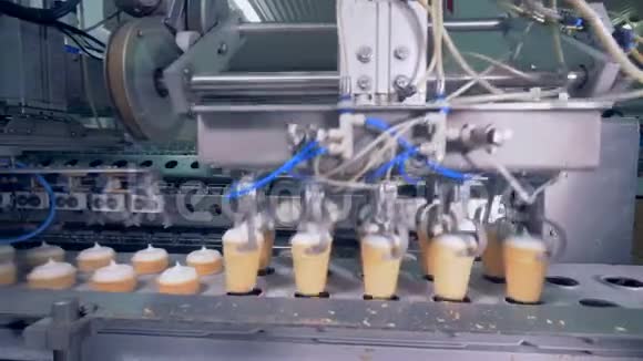 工厂冰淇淋生产线的过程视频的预览图