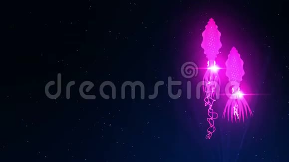 在水下用彩色光照射鱿鱼荧光色鱿鱼漂浮在水中CG循环动画视频的预览图