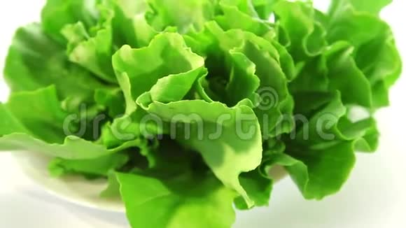 生菜绿色沙拉视频的预览图