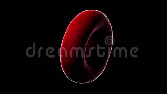 一个红细胞视频的预览图