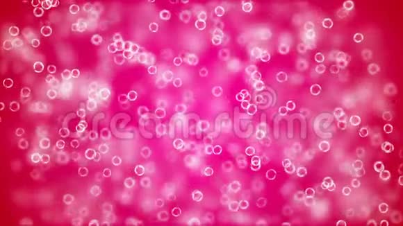高清循环背景与漂亮的粉红色泡泡视频的预览图