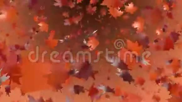 抽象飞翔的秋叶视频的预览图