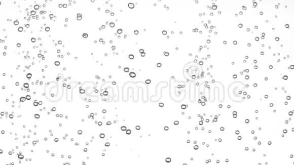 白色背景下分离的水下气泡纹理视频的预览图