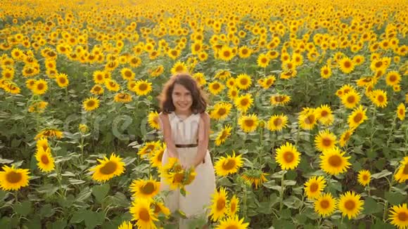 夏天向日葵领域快乐的小生活方式女孩向日葵上美丽的小女孩慢速视频视频的预览图