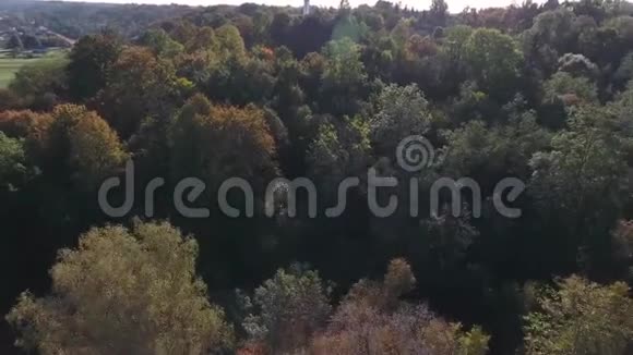 飞越秋天公园视频的预览图
