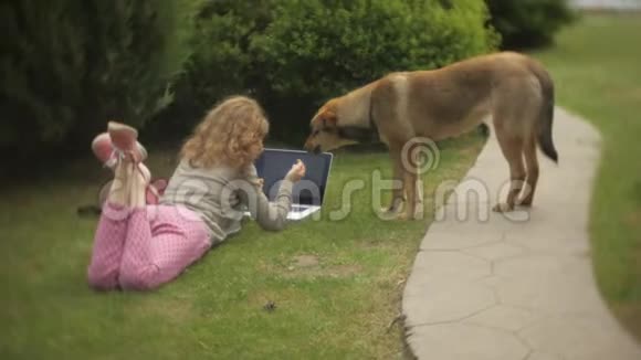 一个拿着笔记本电脑的女人和她的狗在一个美丽的绿色公园的草地上放松一个常年年轻的女人视频的预览图