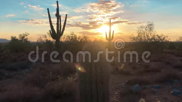 亚利桑那州斯科茨代尔沙漠日落视频的预览图
