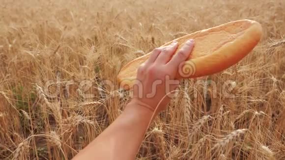 人们在麦田里拿着一条面包慢动作视频小麦领域的成功农学家收获时间视频的预览图