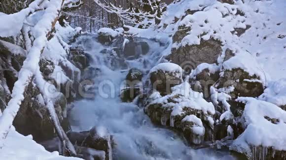 雪林中的河流视频的预览图