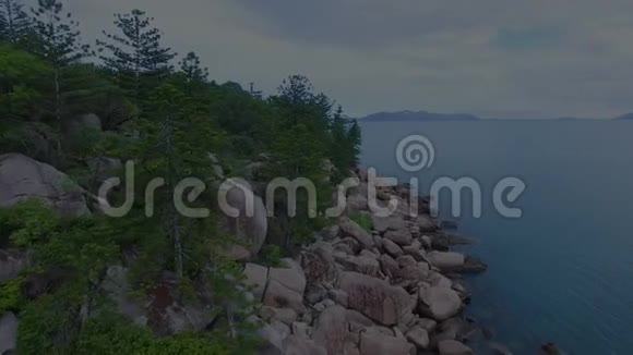 森林和海洋航拍视频的预览图