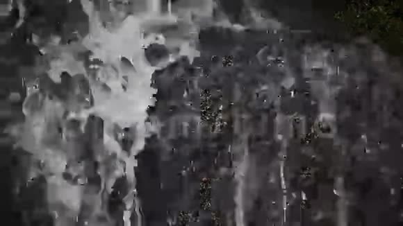 落水森林小瀑布牲畜镜头视频的预览图