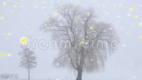 五颜六色的雪花和裸露的枝状冬树视频的预览图