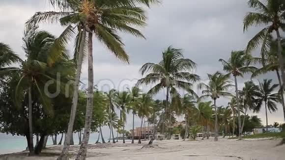 加勒比海滩的性质视频的预览图
