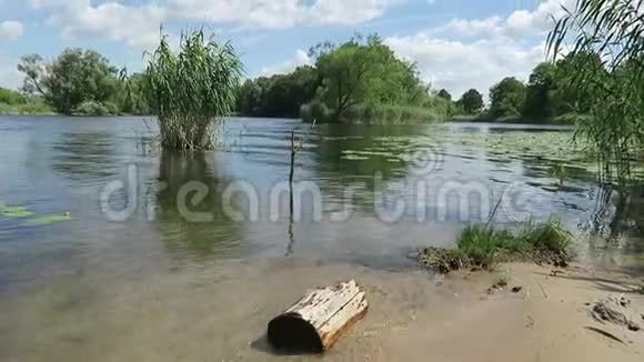 夏时的哈维尔河景观德国哈维尔兰视频的预览图